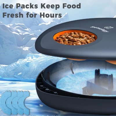 Smart Automatic Wet Food Cat Feeder with App Control & Ice Pack Cooling