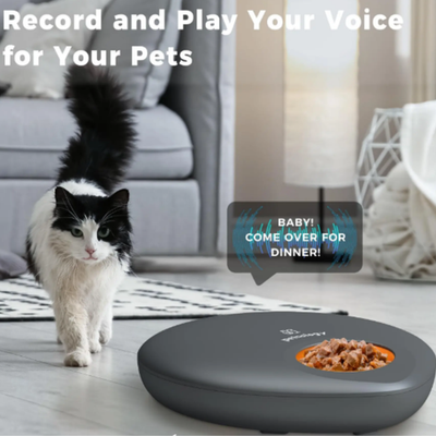 Smart Automatic Wet Food Cat Feeder with App Control & Ice Pack Cooling