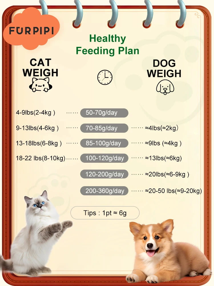 Automatic Smart Pet Feeder with Video Control