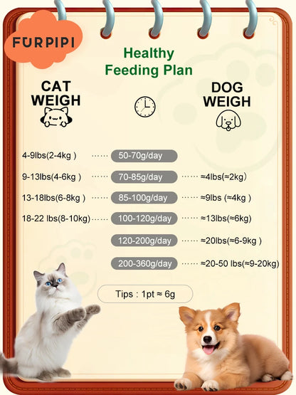 Automatic Smart Pet Feeder with Video Control